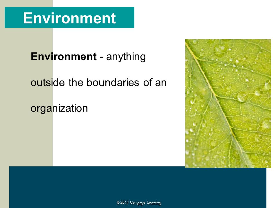 Learning organizations in global environment do